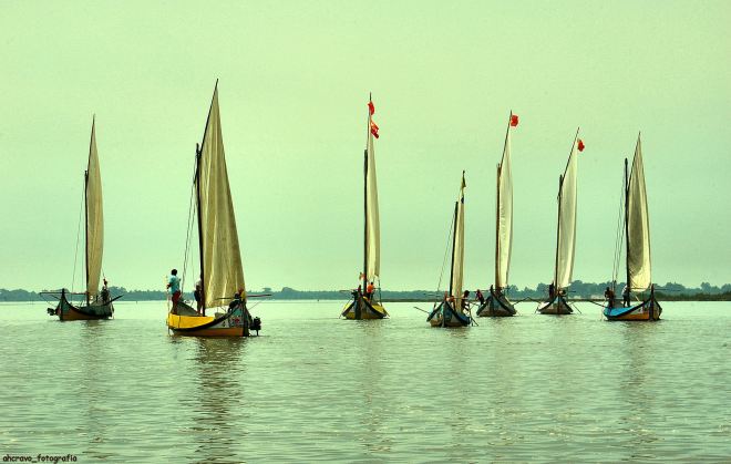 regata do bico em 2010. num dia sem vento os cisnes não voam