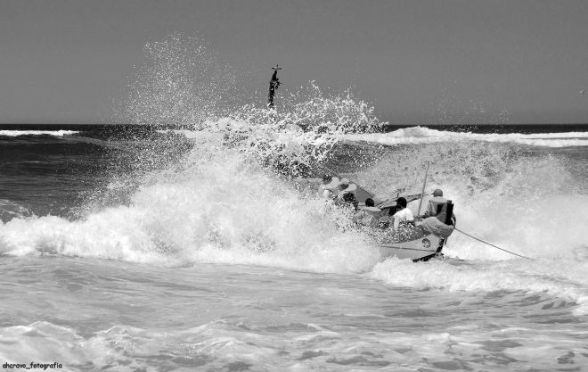 ahcravo_DSC_9075_marco 14_bw