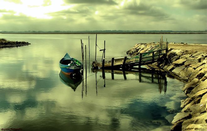 ahcravo_DSC_7120_bico