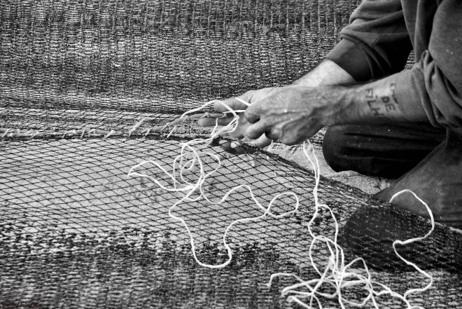 o agostinho e o porfio a fechar o saco