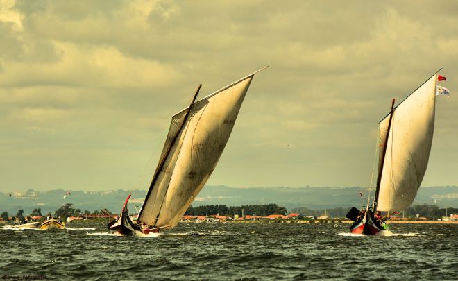 ria de aveiro; regata da ria, 2014