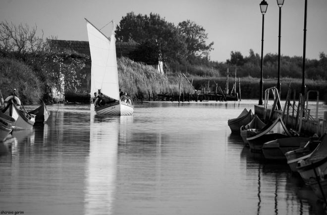 ei-los que chegam como se não