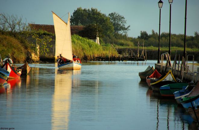 ahcravo_DSC_6270_ribeira de pardelhas