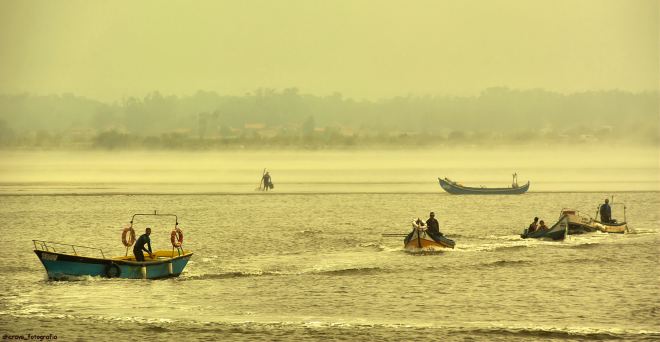 o fim da maré é a hora do regresso