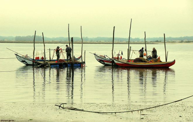 ahcravo_DSC_7866_bateiras cais marco