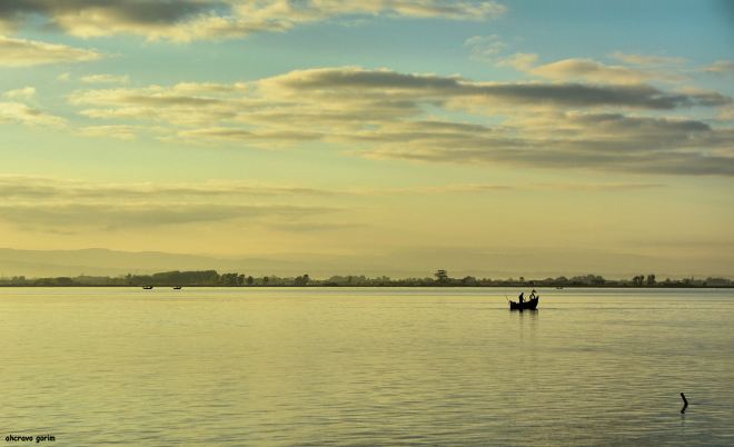 a beleza da ria surpreende