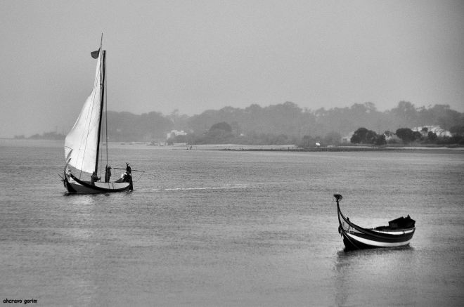 na placidez da ria voga um moliceiro, enquanto uma bateira de bicas descansa