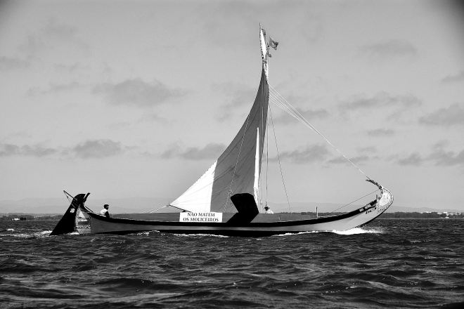 a mensagem de protesto de 2012, ainda perdurava na regata de 2013