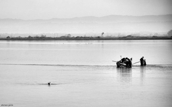  muito dura a vida na ria