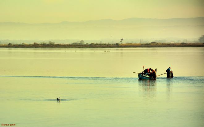 o olhar só vê a beleza, não vê a dor