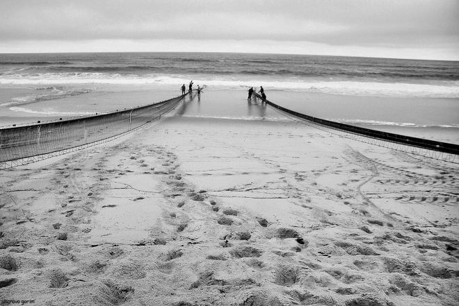 a saco aproxima-se da praia, os bordões apertam as mangas. quem sabe se peixe?