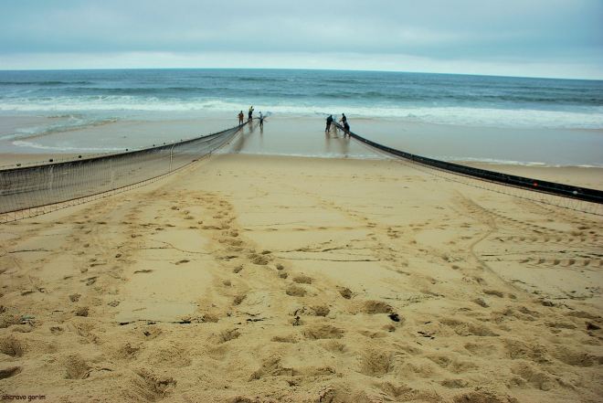 as cores da esperança, do esforço, do salgado suor dos homens do mar