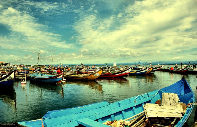 ahcravo_DSC_4919_marina