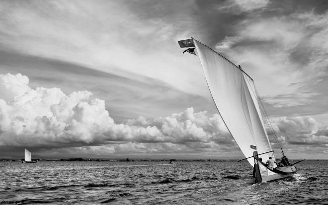 a palavra e, ao longe, o silêncio