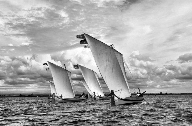 o esplendor dos cisnes da ria, íntegros