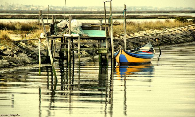 ahcravo_DSC_7092_bico