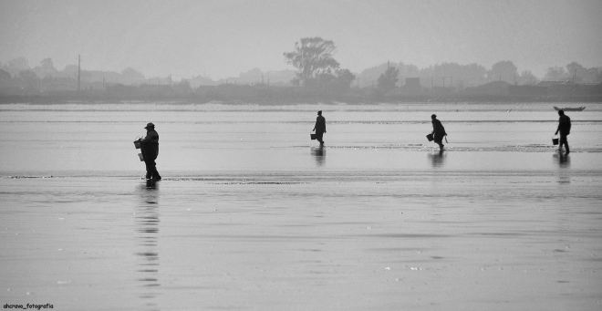 os árduos caminhos do pão