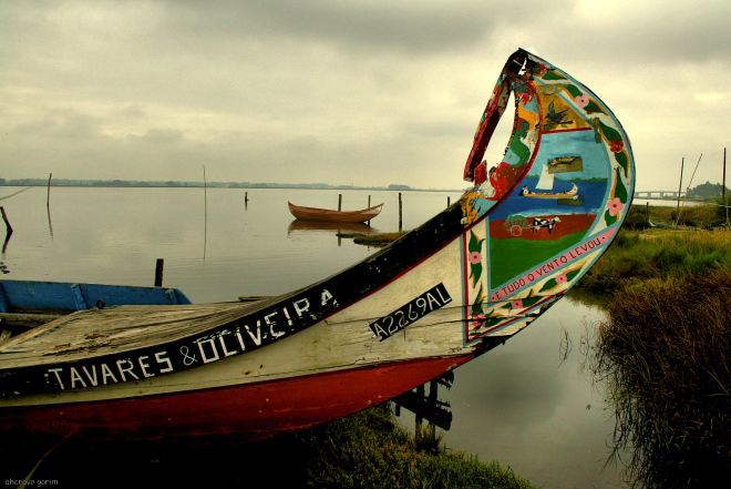 já nem os restos restam