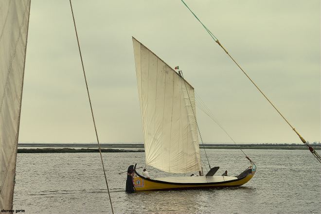 não partas antes de mim