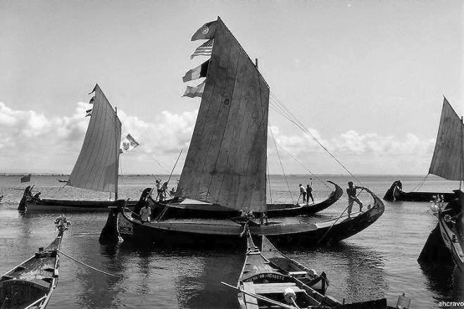 moliceiros no s. paio, anos 90