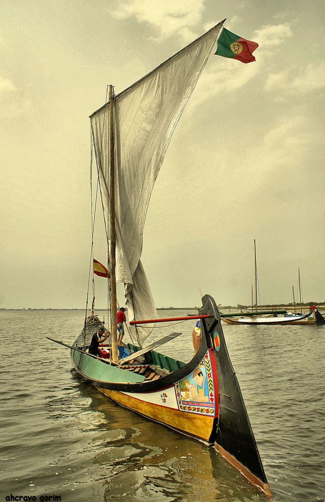 houvesse vento em terra ...