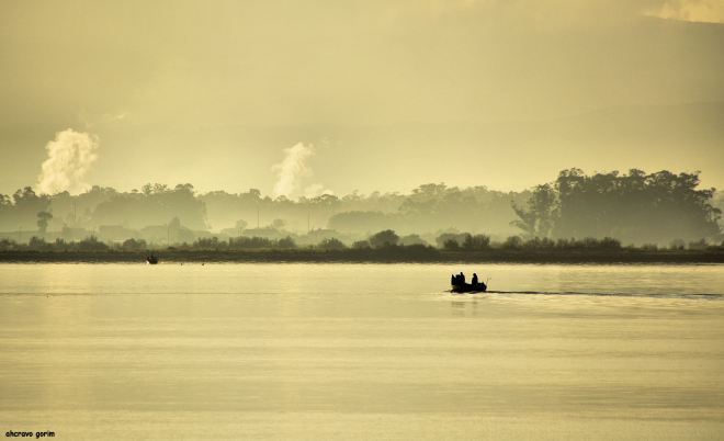 será que a rede traz que comer?