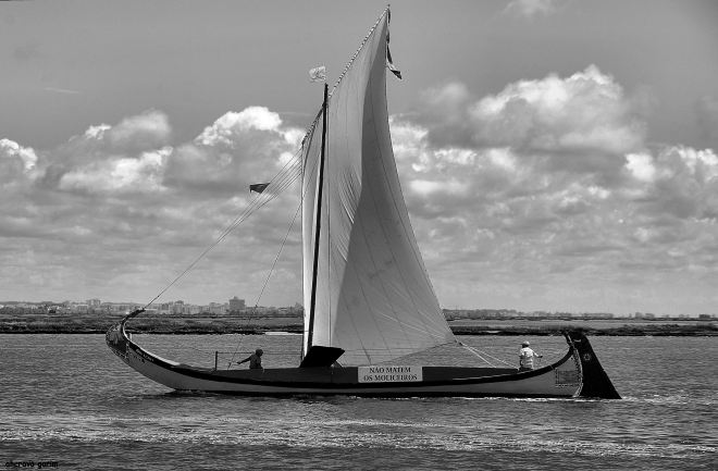 "NÃO MATEM OS MOLICEIROS", no moliceiro "dos netos", do ti abílio, usada no protesto contra o cancelamento da regata da ria, no mês de julho