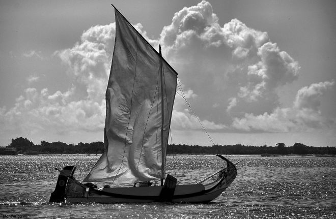 há-de ser .... há-de ser