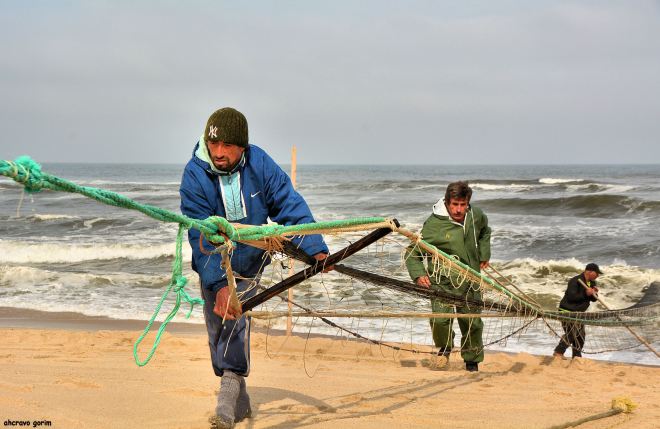 stalone, horácio e alfredo - sequência dos camaradas