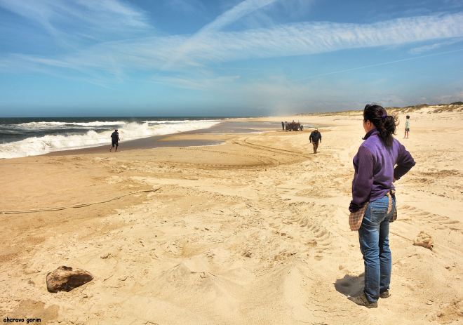 ahcravo_DSC_1714_albina_marco 13