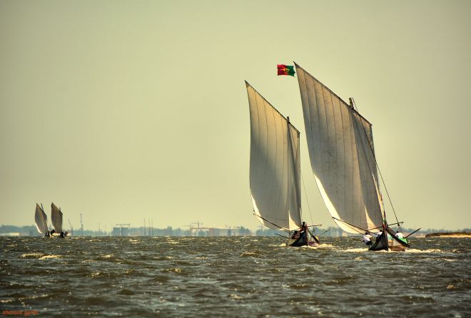 velas ao vento e todos pelo mesmo