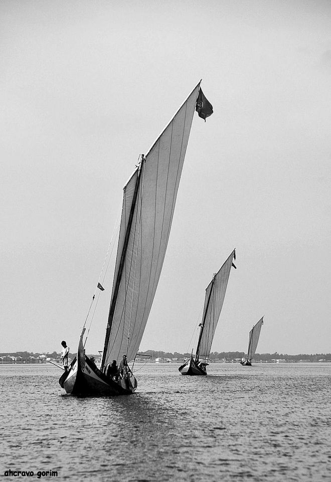 sucedem-se no tempo e ...