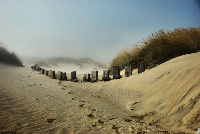 mais ao fundo já tu desapareceste