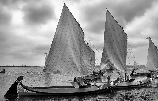 varados na areia aguardam
