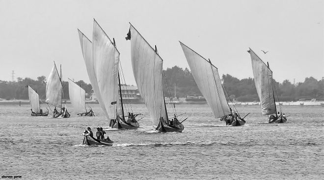 navegam ainda em mim