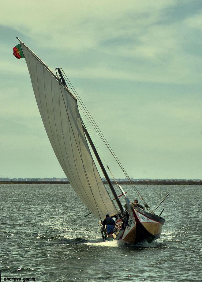 tem o homem mão no barco