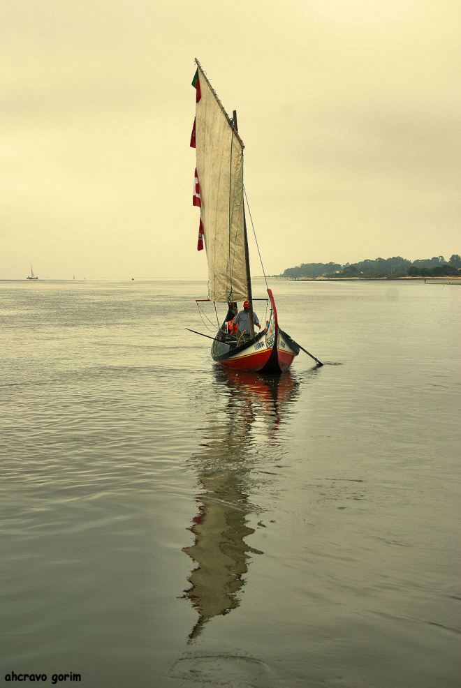 é preciso encher os olhos para tapar a boca