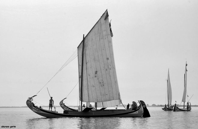 não se veleja sem vento