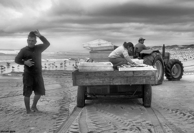 o nicole, a albina e o marco