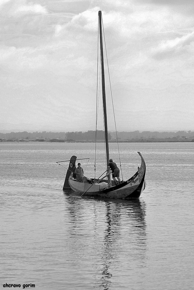 ricardo e sérgio, um barco, 2 filhos, um sonho que foi para aveiro
