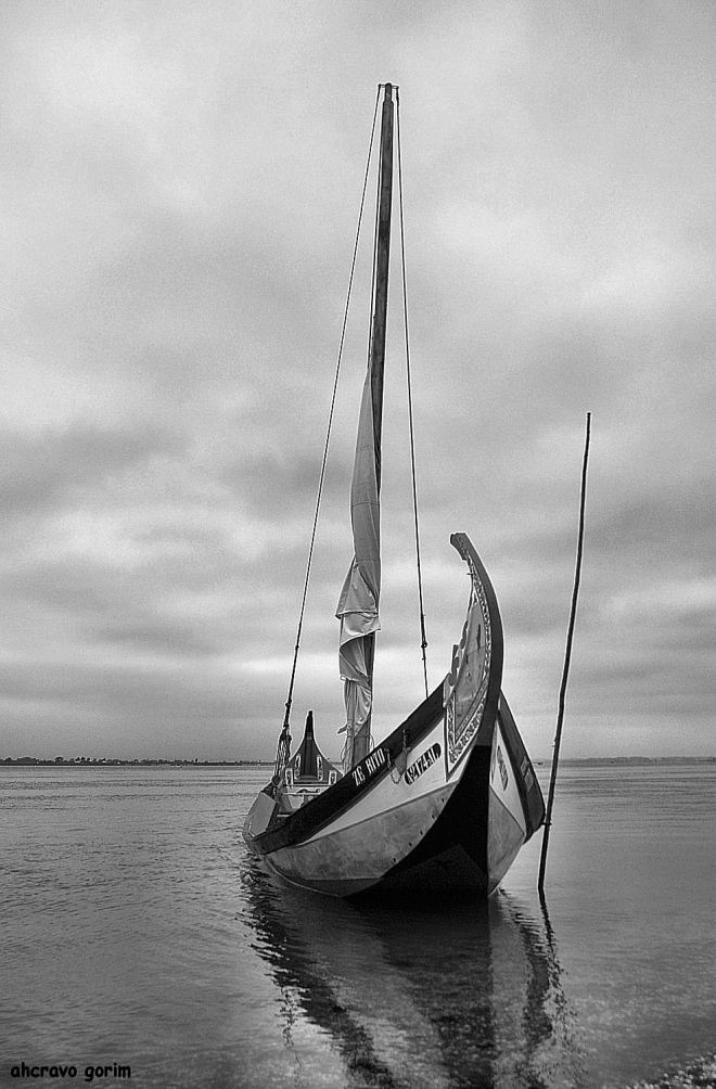 enrolada a vela no mastro, o zé rito espera