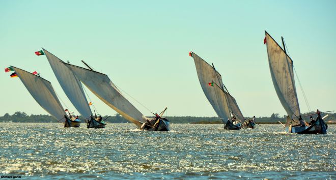 de madeira os barcos mostram a fibra dos homens