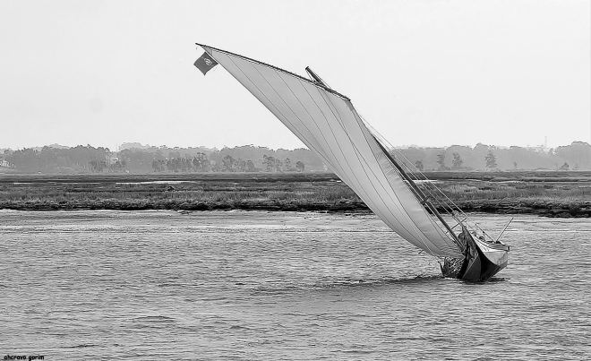 uma imagem centenas de vezes repetida, mas que nunca cansa 