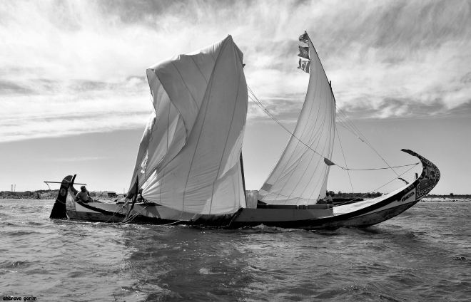 ahcravo_DSC_1418_mastro partido bw