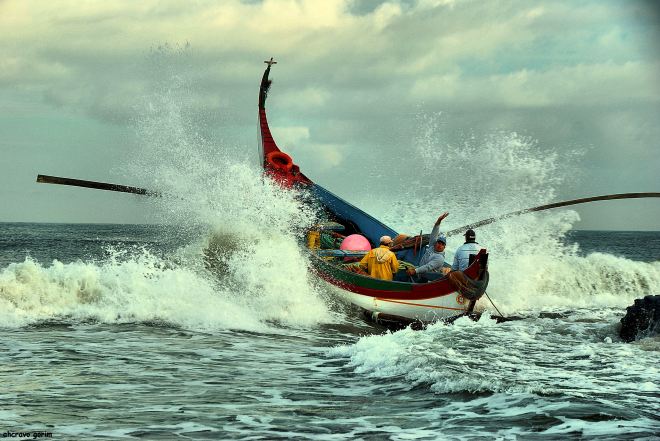 ahcravo_DSC_3074_marco 12