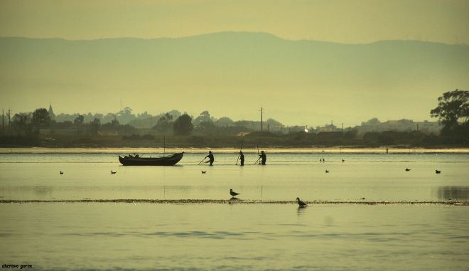 quando sonhar é lembrar