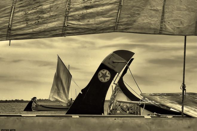 ahcravo_DSC_6788 regata moliceiros bico bw