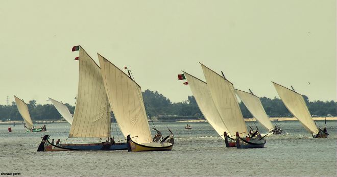 há uma ria por dentro da ria, a dos moliceiros