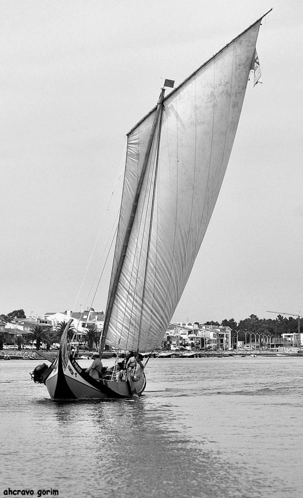 ahcravo_DSC_6148_o inobador bw