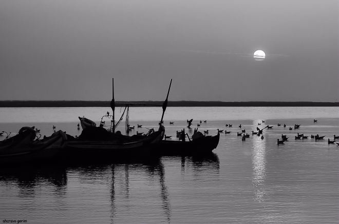 ahcravo_DSC_8407 chegado bw